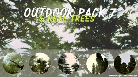 Outdoor Pack 7 – 5 Real Trees at ConceptDesign97