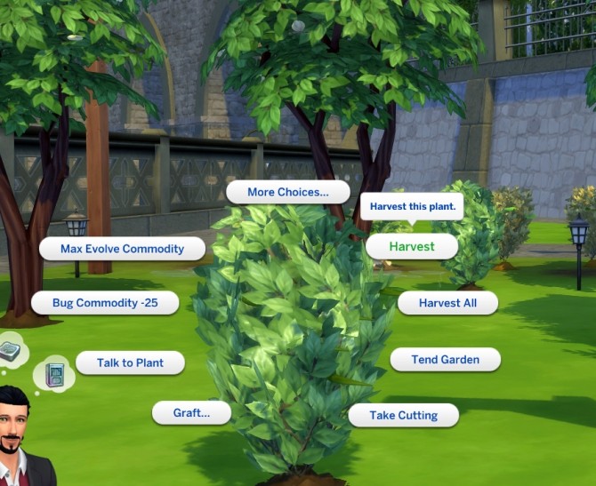 Sims 4 Custom Harvestable Green Chili by icemunmun at Mod The Sims