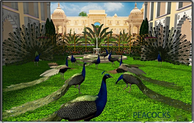 Sims 4 Milas Deco Peacock conversions at Leo Sims