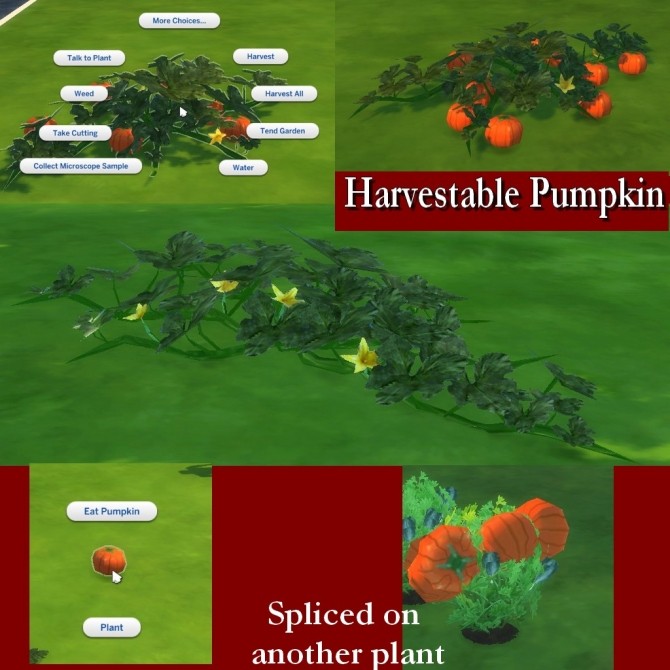 Sims 4 Harvestable Pumpkin Plant by Leniad at Mod The Sims