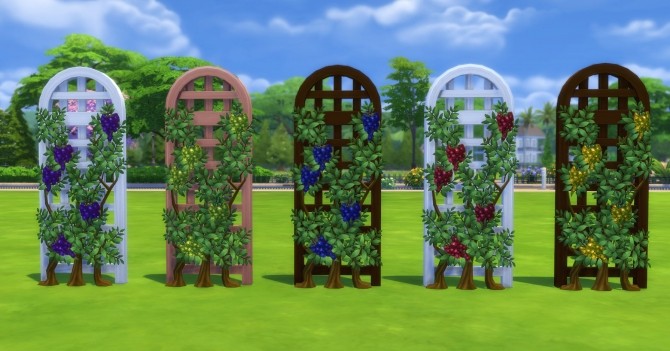 Sims 4 Get Fruity Vines of Prosperity by Snowhaze at Mod The Sims