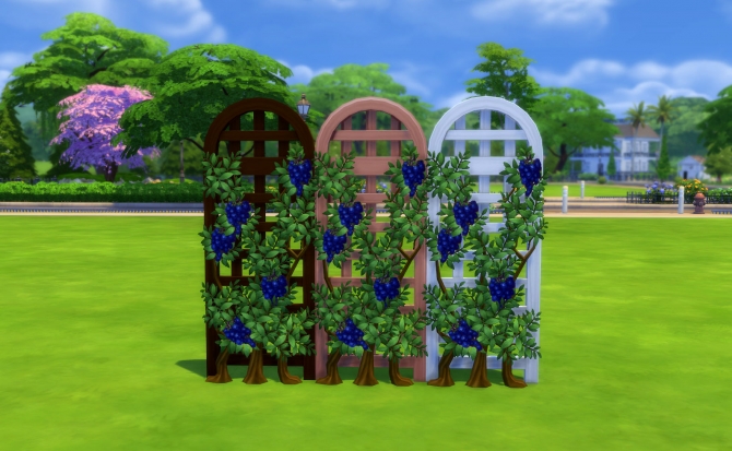 Get Fruity Vines of Prosperity by Snowhaze at Mod The Sims » Sims 4 Updates