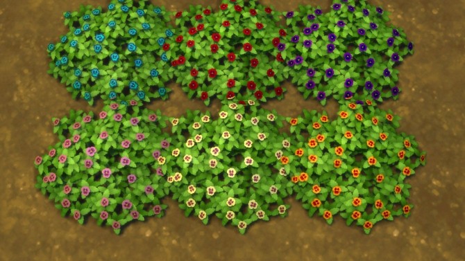 Sims 4 Pansy Ground Cover variety Pack by Snowhaze at Mod The Sims