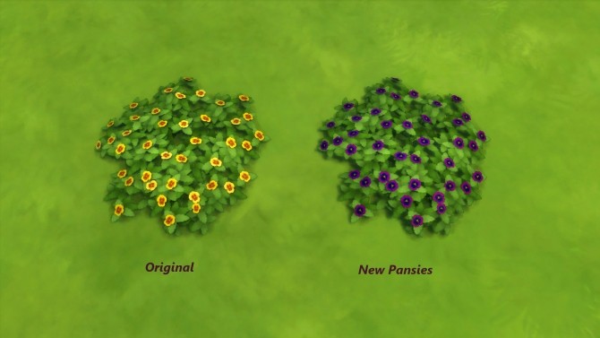 Sims 4 Pansy Ground Cover variety Pack by Snowhaze at Mod The Sims