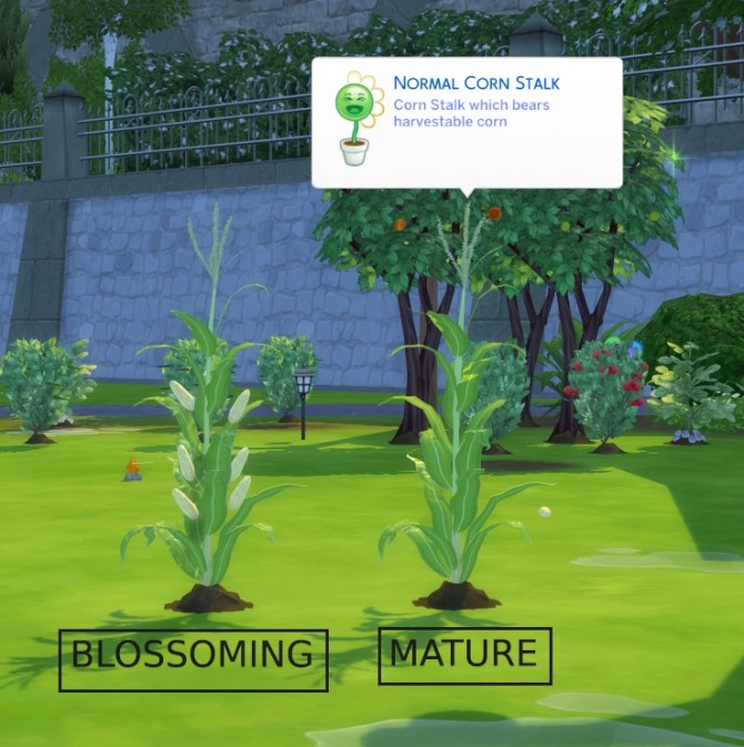 Sims 4 Harvestable Corn Stalk + Optional Popcorn Popper by icemunmun at Mod The Sims