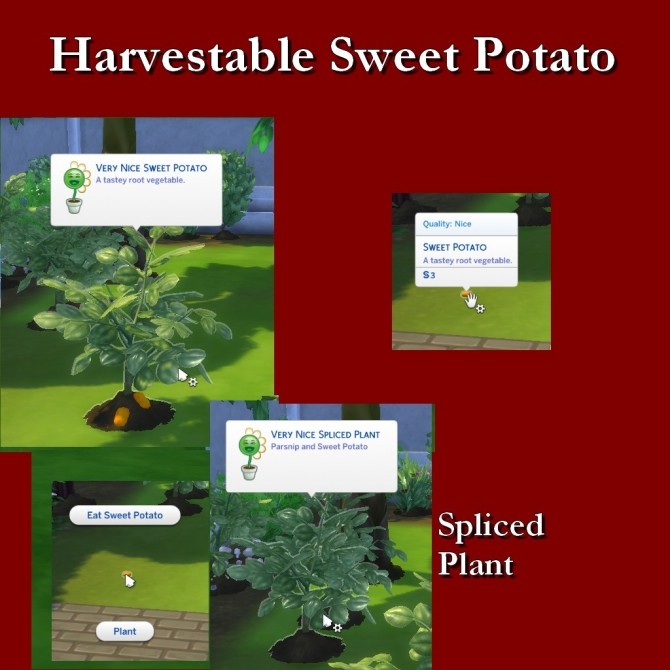 Sims 4 Harvestable Sweet Potato by Leniad at SimsWorkshop