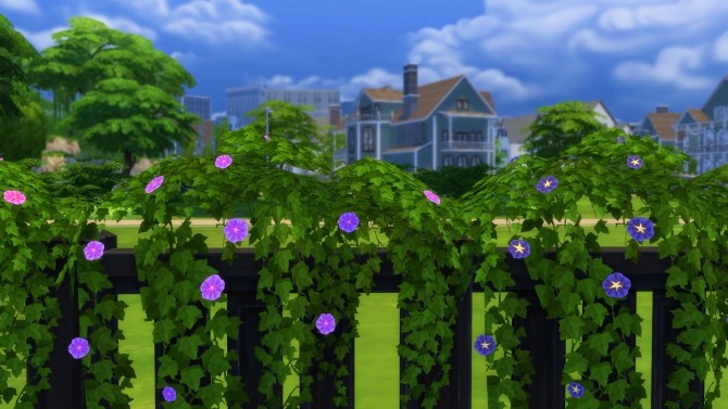 Sims 4 Vines for Fences Morning Glory and Seasons of Ivy by Snowhaze at Mod The Sims