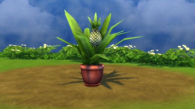 Sims 4 Aloha Pineapples by Snowhaze at Mod The Sims