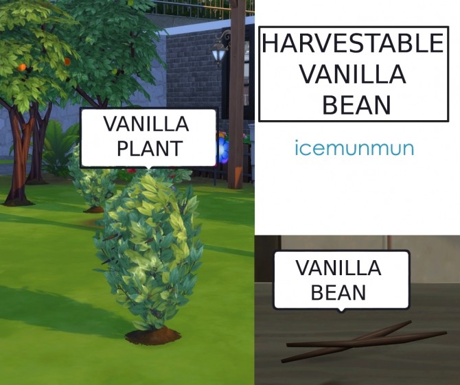 Sims 4 Custom Harvestable Vanilla Bean by icemunmun at Mod The Sims