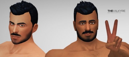 Valkyrie male hair by Xld_Sims at SimsWorkshop