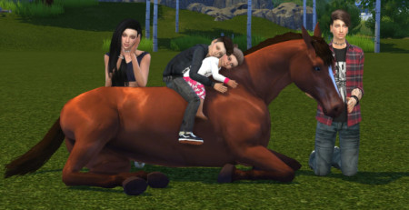 My Horse Family Pose 1 at Chaleara´s Sims 4 Poses