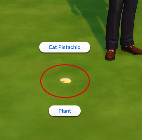Sims 4 Custom Harvestable Pistachio by icemunmun at Mod The Sims
