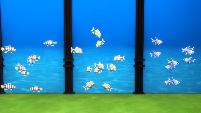 Sims 4 Under the Sea IV Marine Fishies by Snowhaze at Mod The Sims
