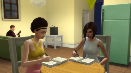 Teen Homework Fix by ukbucket at Mod The Sims