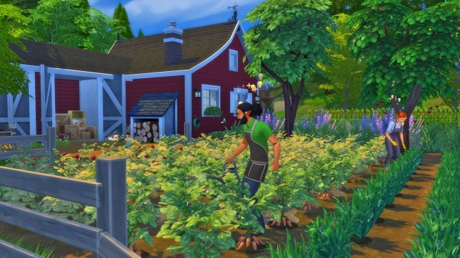 Sims 4 Finchs farm by Arthur at Les Sims4