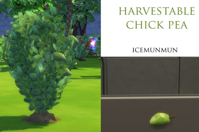 Sims 4 Custom Harvestable ChickPea by icemunmun at Mod The Sims
