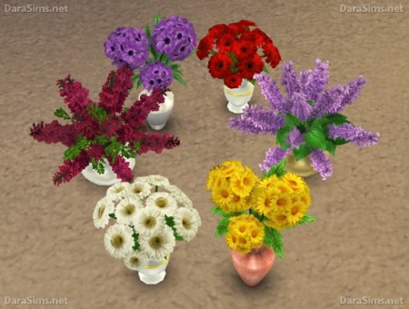 Flower Set 2 at Dara Sims