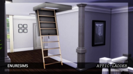 Attic Ladder at Enure Sims