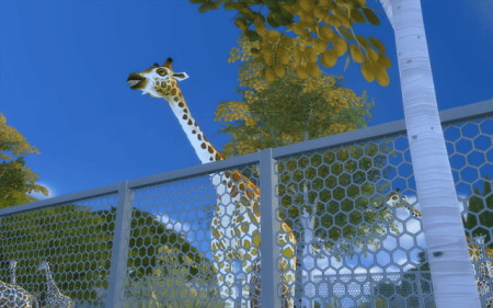 Zoo La Belle vue at Rabiere Immo Sims