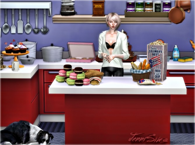 Sims 4 Kitchen Supplies Decoratives 21 Items at Jenni Sims