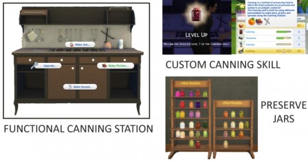 Functional Canning Station and Skill by icemunmun at Mod The Sims