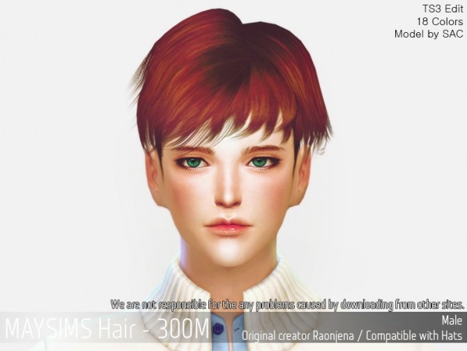 Sims 4 Hair 300M (Raonjena) at May Sims