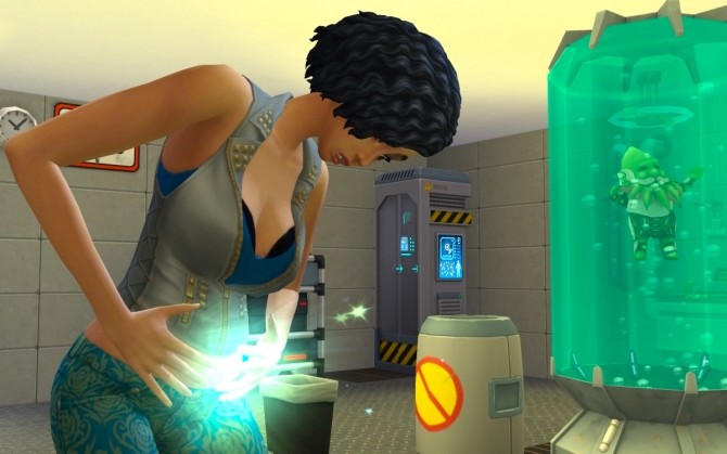 the sims 4 pc mods
