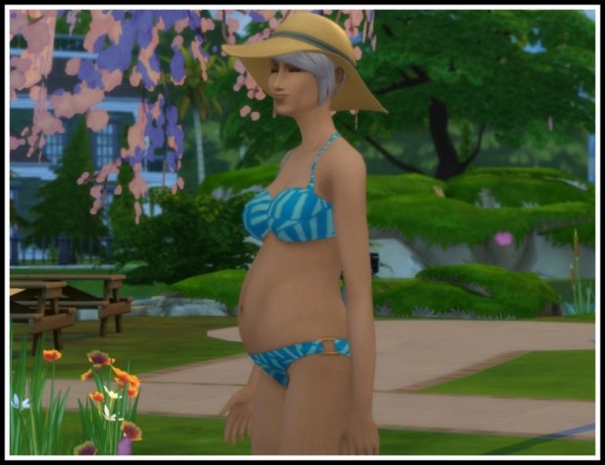 Sims 4 Pregnancy Overhaul at LittleMsSam