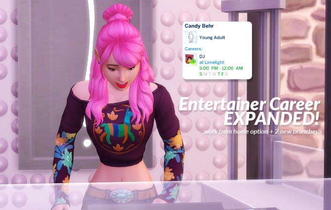 Sims 4 Entertainer Career Expanded by duderocks at Mod The Sims