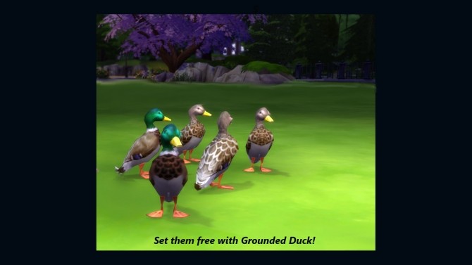 Sims 4 Free the Ducks by Snowhaze at Mod The Sims