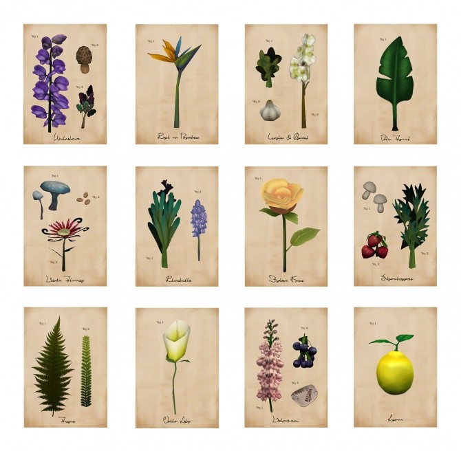 Sims 4 Botanical Print Set at Femmeonamissionsims