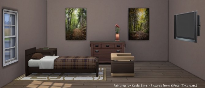 Sims 4 Pete   Tvoom Paintings at Keyla Sims