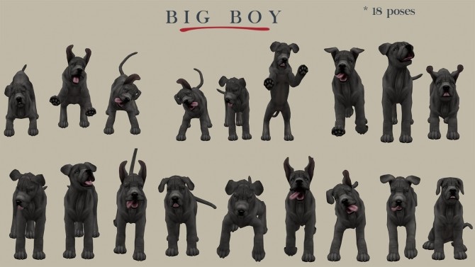 Sims 4 Big Boy dog (P) at Leo Sims