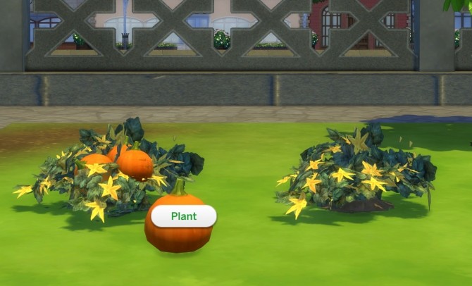 Sims 4 The Pumpkin Project by icemunmun at Mod The Sims