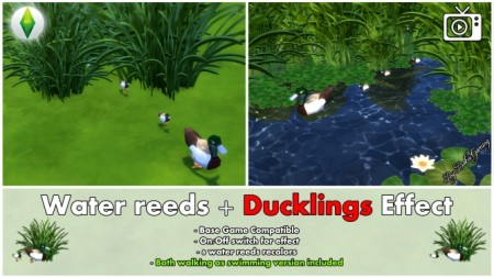 Water reeds + Ducklings Effect by Bakie at TSR