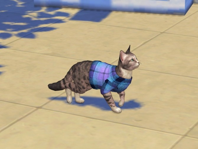 Sims 4 Pretty Kitty Sweaters at NiteSkky Sims