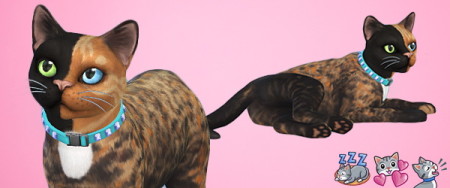 Venus cat by 3lodiie at Les Sims4