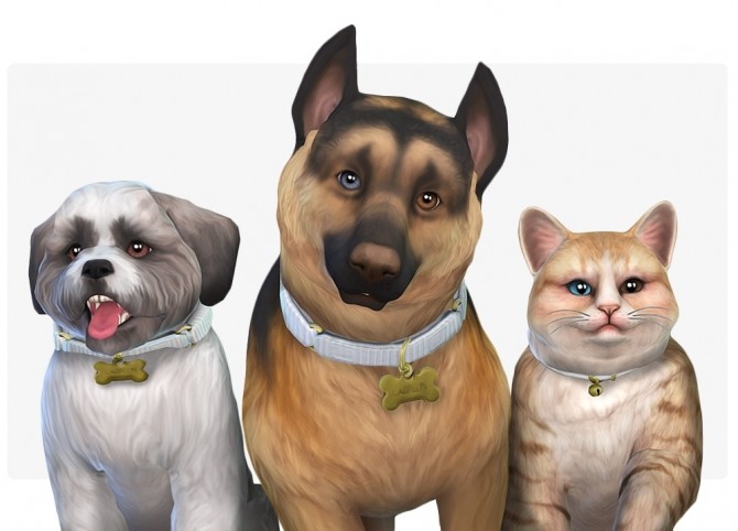 Sims 4 DayDreamin eyes for Cats and Large & Small Dogs at Nolan Sims