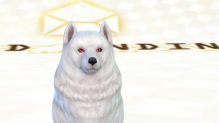 Shadow’s eyes for cats and dogs by ShadowEatsSkittlez at SimsWorkshop