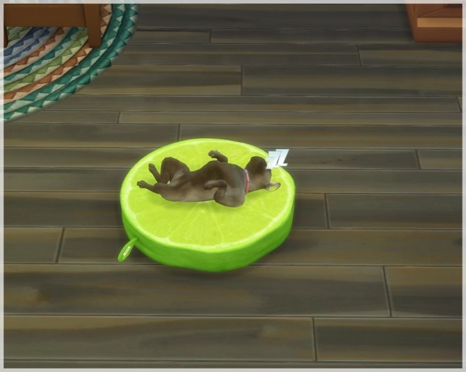 Sims 4 Fruit Cocktail Pet Bed at Helen Sims