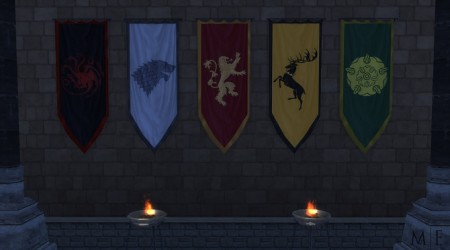 Banners of Westeros at Magnolian Farewell