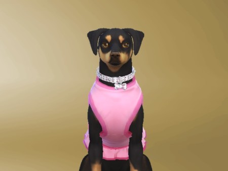 Necklace diamond of dog small by Celeste25 at TSR