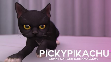 Skinny Cat Whiskers and Brows at Pickypikachu