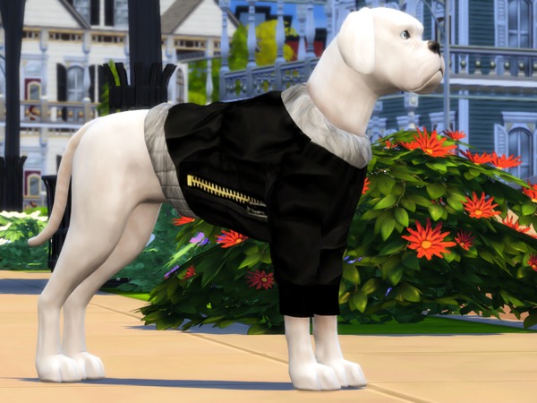 Sims 4 Large Dog Parka Coats by simmerkate at TSR
