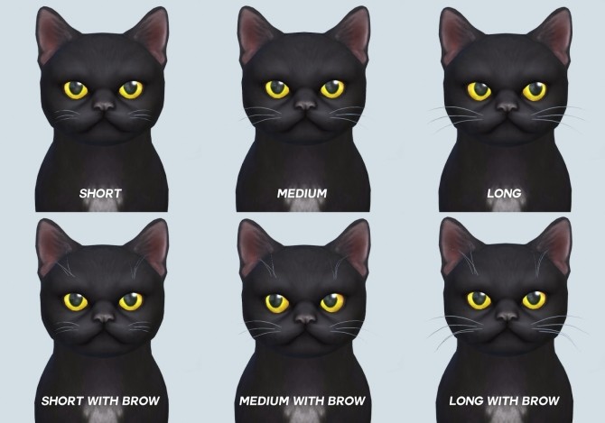 Sims 4 Skinny Cat Whiskers and Brows at Pickypikachu