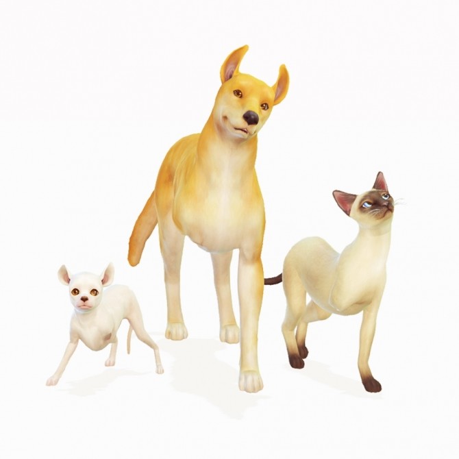 Sims 4 THREE LEGGED FURRENDS (FRONT LEG VERSION) at Wyatts Sims