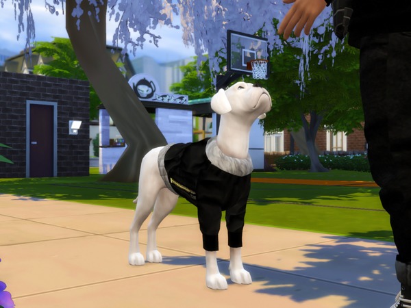 Sims 4 Large Dog Parka Coats by simmerkate at TSR