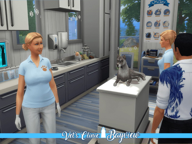 Sims 4 Vet’s Clinic Bayview by Waterwoman at Akisima