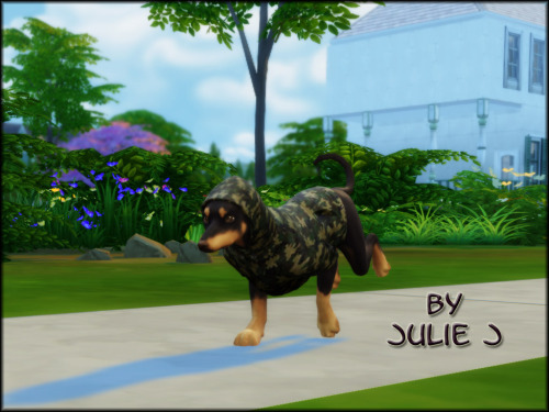 Sims 4 Doggie Hoodies Retexture at Julietoon – Julie J