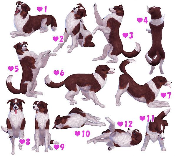 Sims 4 Large, Small & Puppy Dog Poses at A luckyday